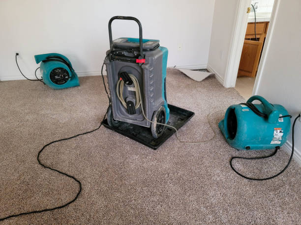 Best Flood restoration services  in Marble Hill, MO