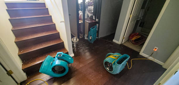 Best Flooded house restoration  in Marble Hill, MO
