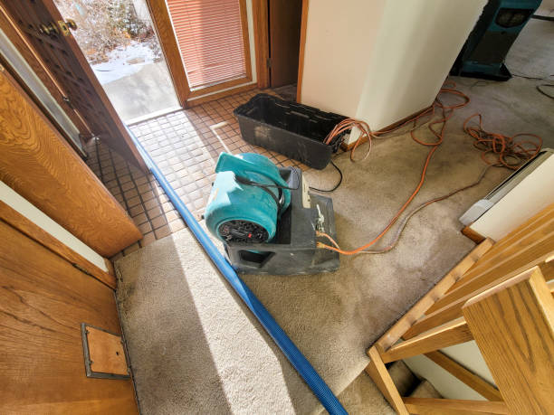 Best Water damage restoration near me  in Marble Hill, MO