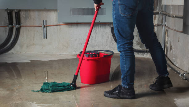 Best Water damage cleanup near me  in Marble Hill, MO