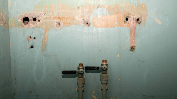 Best Flood damage cleanup  in Marble Hill, MO