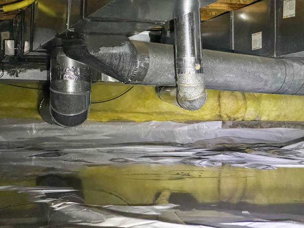 Best Basement water damage restoration  in Marble Hill, MO